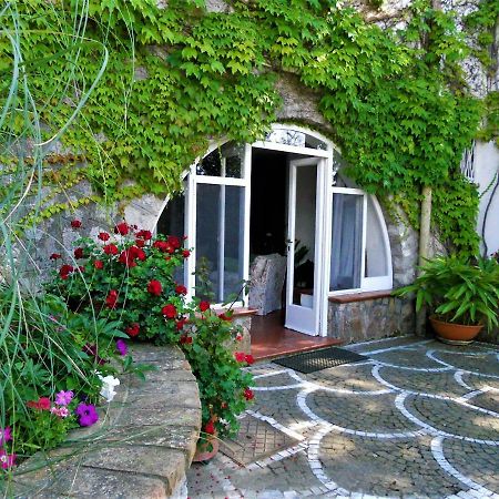 Villa Le Olivine Сорренто Экстерьер фото