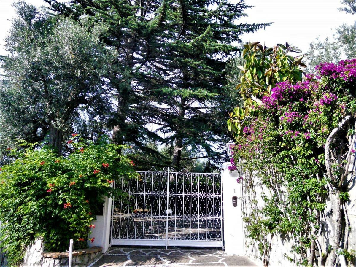 Villa Le Olivine Сорренто Экстерьер фото