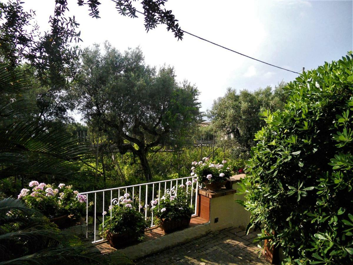 Villa Le Olivine Сорренто Экстерьер фото