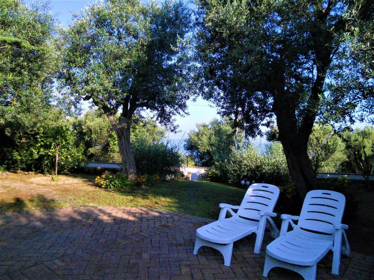 Villa Le Olivine Сорренто Экстерьер фото