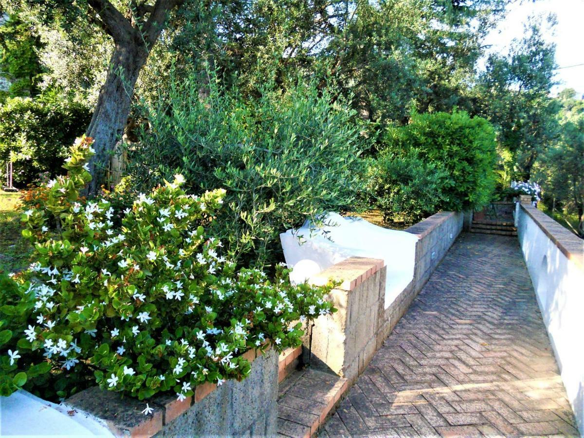 Villa Le Olivine Сорренто Экстерьер фото